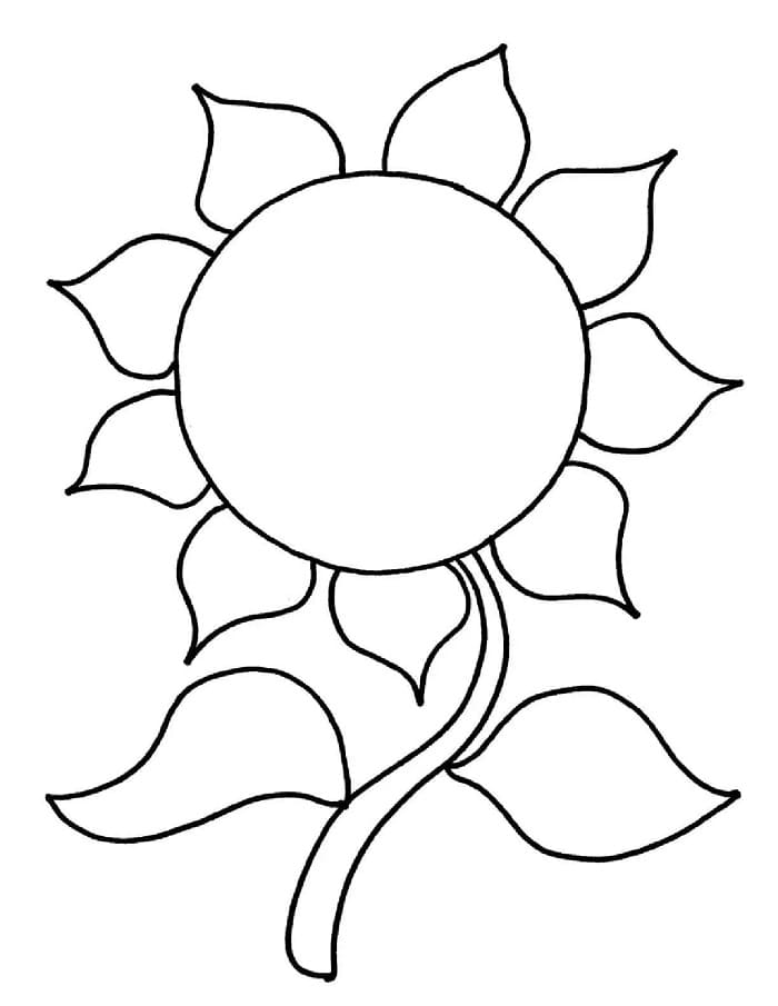 Zonnebloem voor kinderen