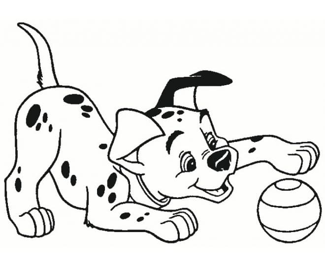 101 Dalmatiërs (5)