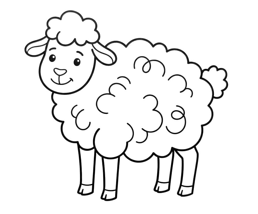 Aanbiddelijk schaap