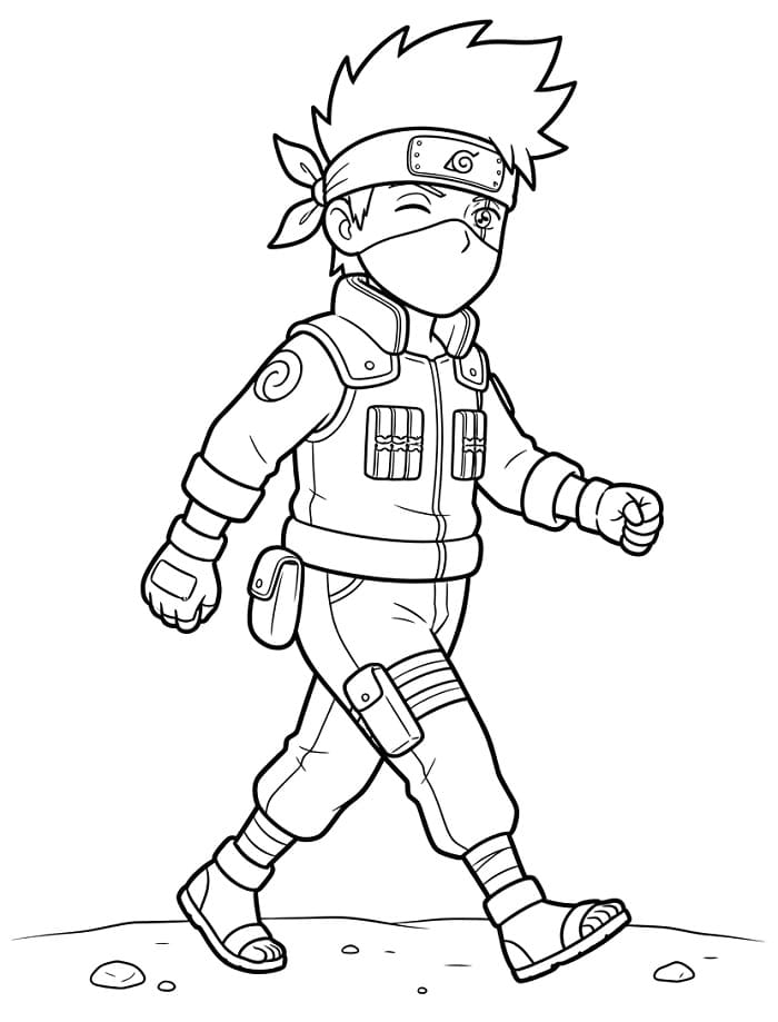 Aardige Kakashi