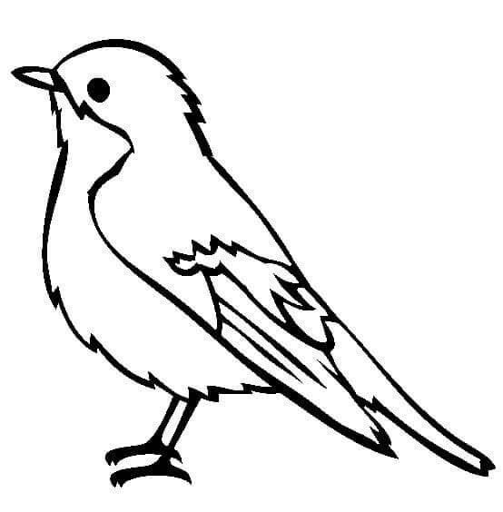 Afdrukbare Gratis Vogel