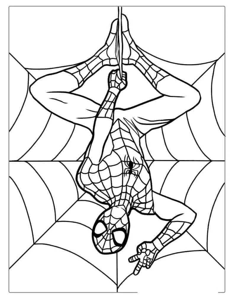 Afdrukbare Spiderman afbeelding