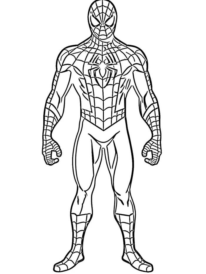 Afdrukbare gratis Spiderman
