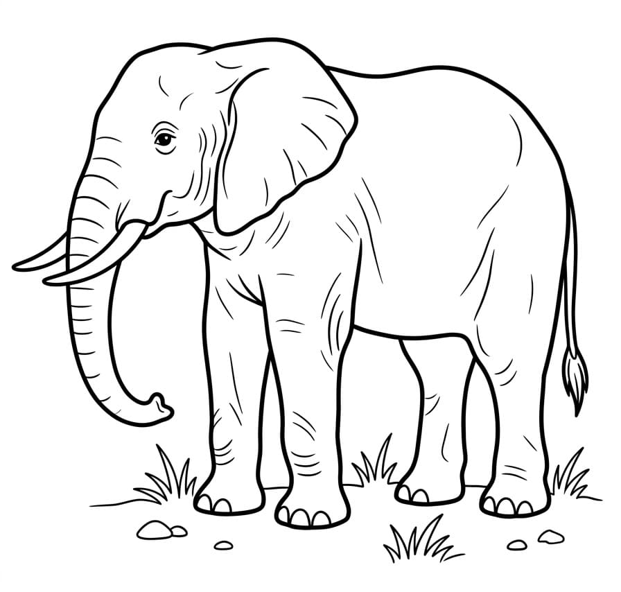 Alledaagse Olifant