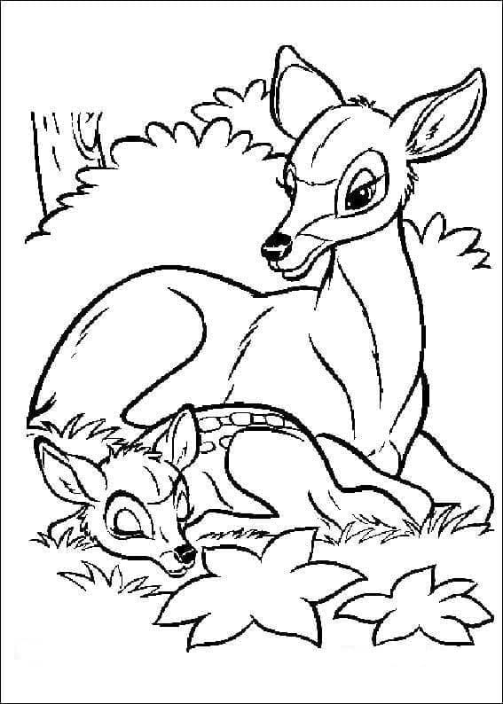 Bambi van Disney