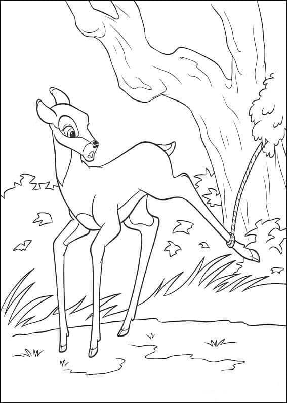 Bambi voor Kinderen