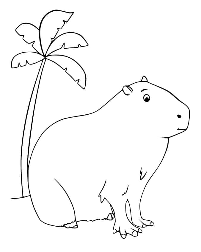 Capibara Gratis