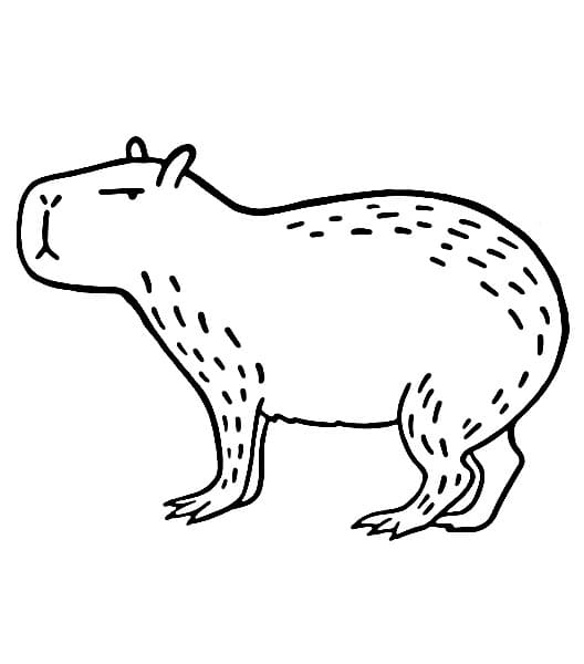 Capibara Zonder Kosten