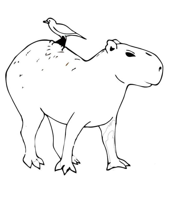 Capibara om Uit te Printen