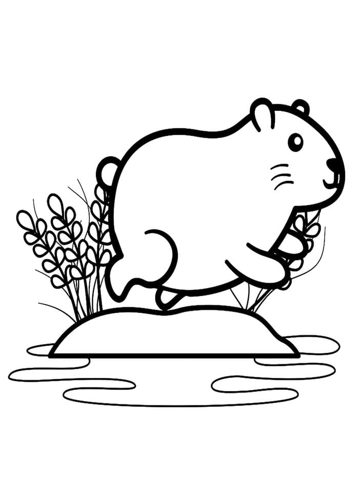 Capibara om af te Drukken