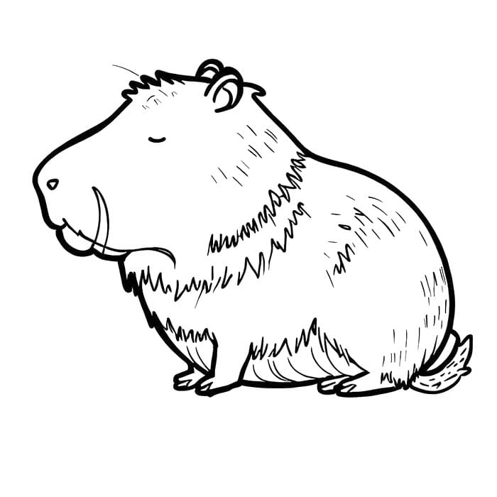 Capibara om te Printen
