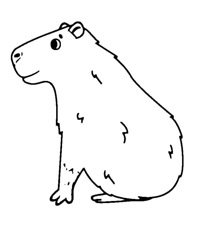 Capibara voor Kinderen van 1 Jaar