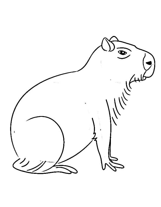 Cartoon Capibara