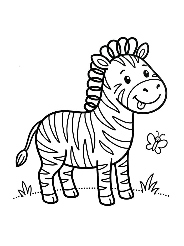 Zebra