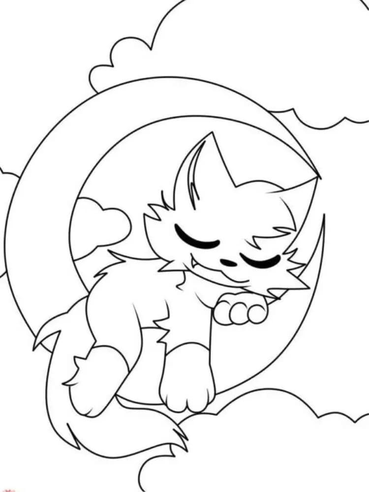 Catnap printen
