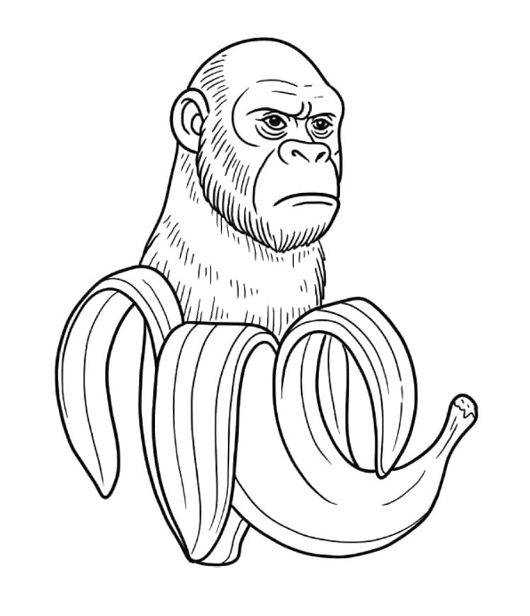Chimpanzini Bananini gratis