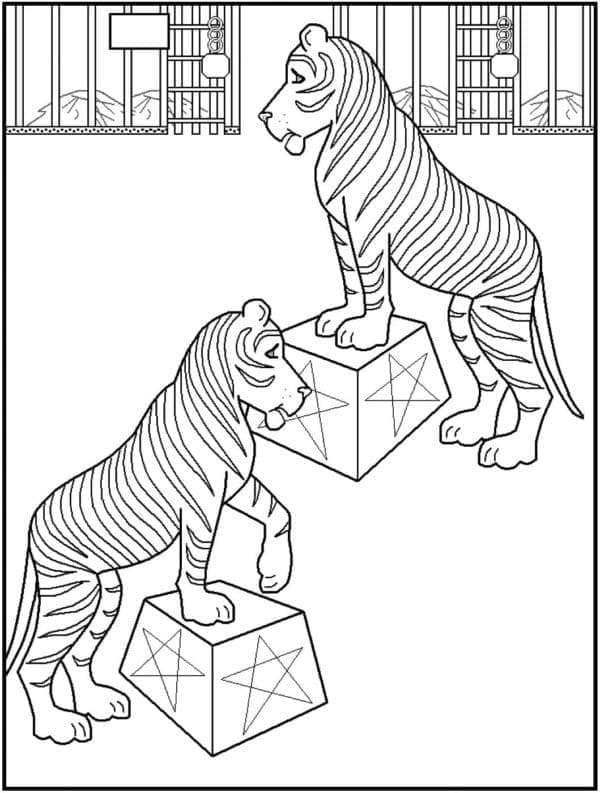 Circus printen