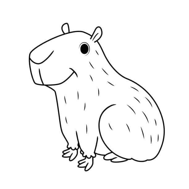 Coole Capibara