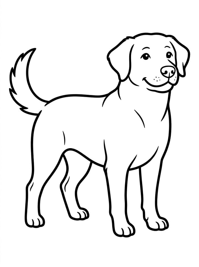 Coole Hond