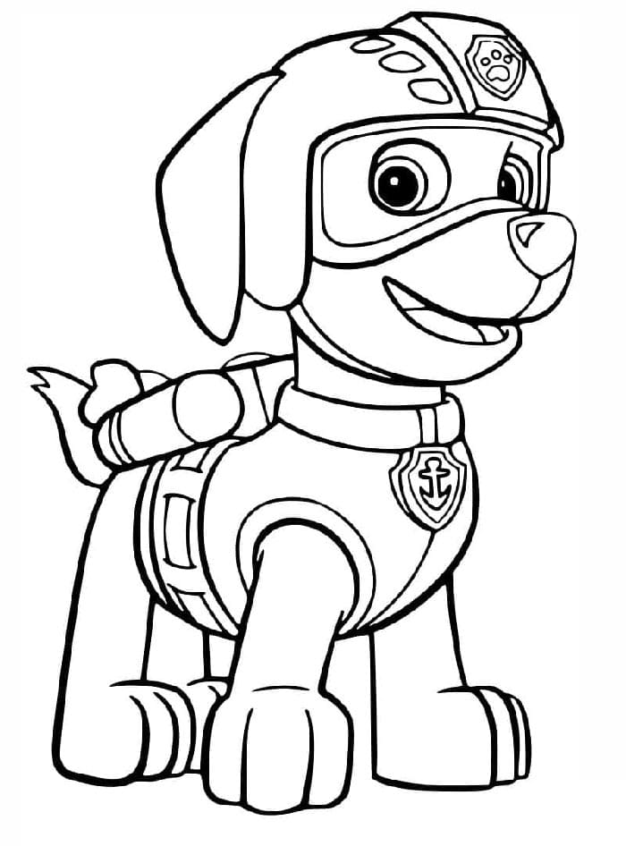 Coole Paw Patrol