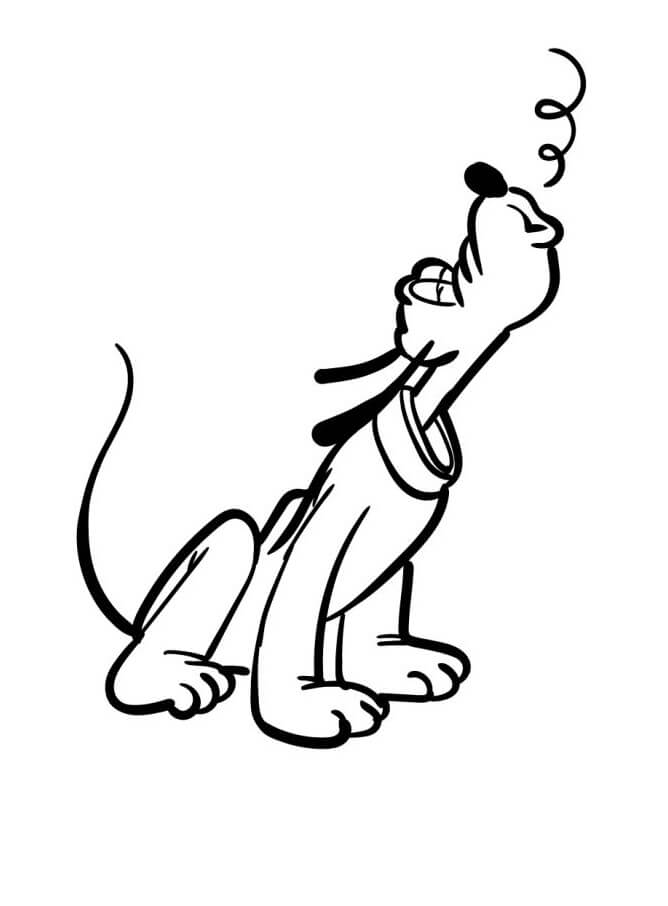 Coole Pluto