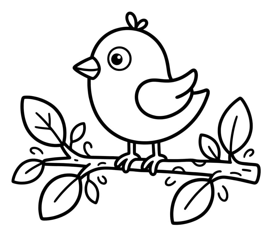Coole Vogel