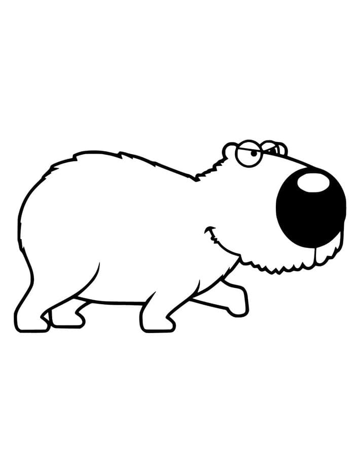 Dierlijke Capibara