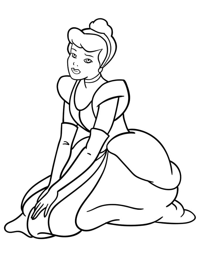 Disney Prinses Assepoester