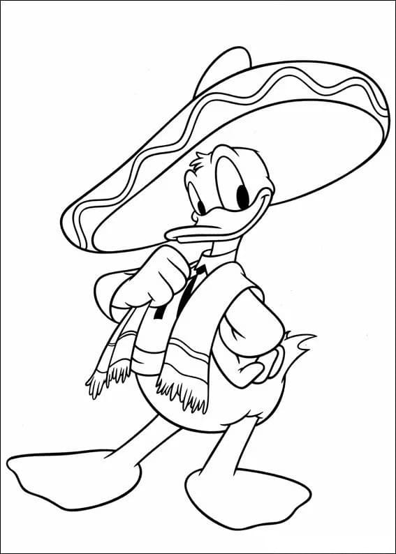 Donald Duck met een hoed