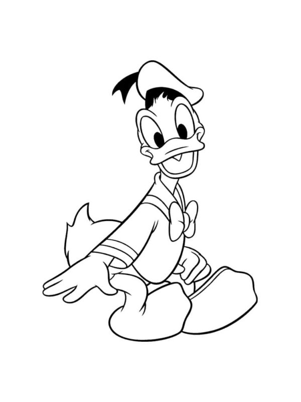 Donald Duck van Disney