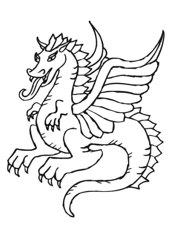 Draak afbeelding