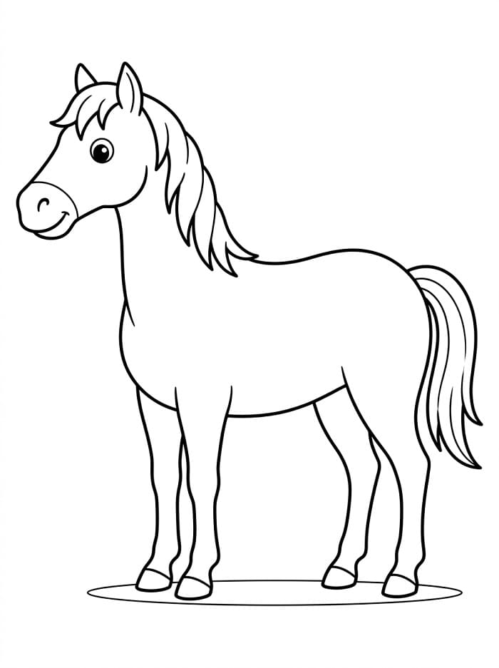 Een Schattig Paard