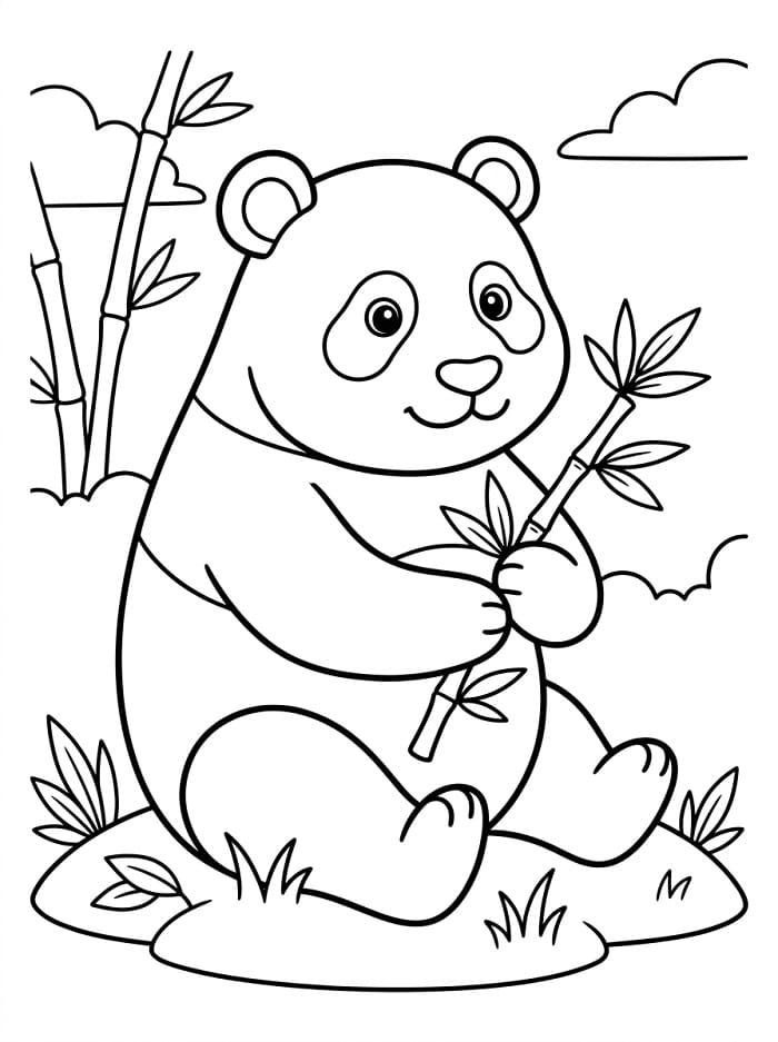 Een Schattige Panda
