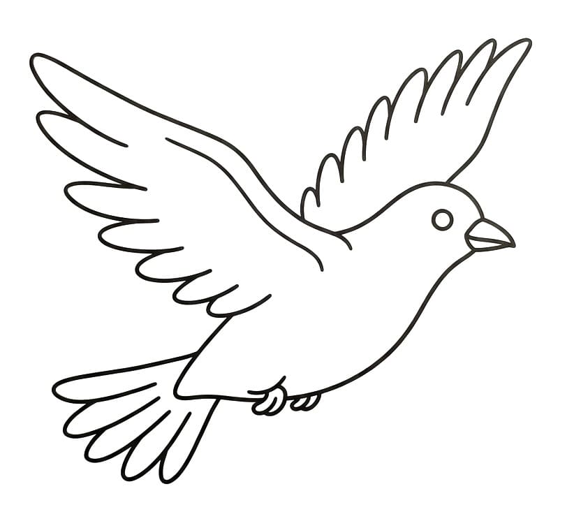 Een Vliegende Vogel