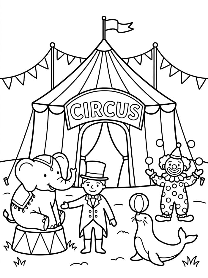 Een circus
