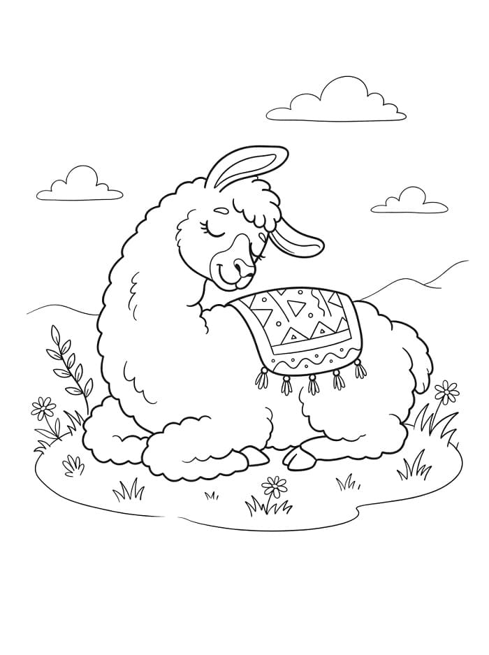 Een slapende lama