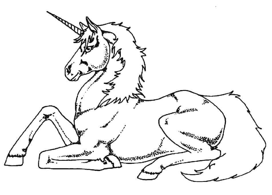 Eenhoorn 5