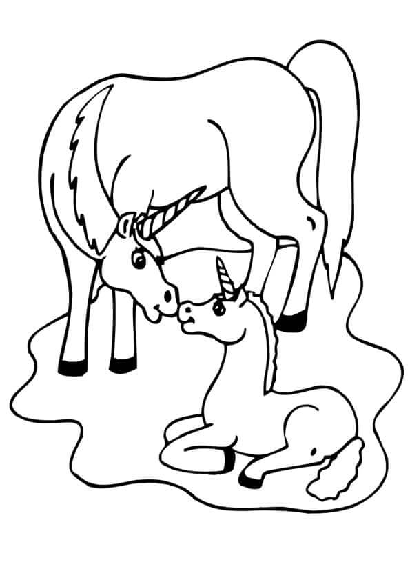 Eenhoorn 6