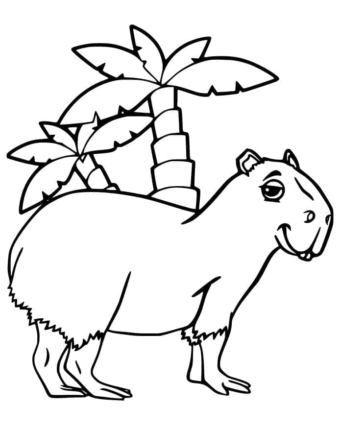 Eenvoudige Capibara