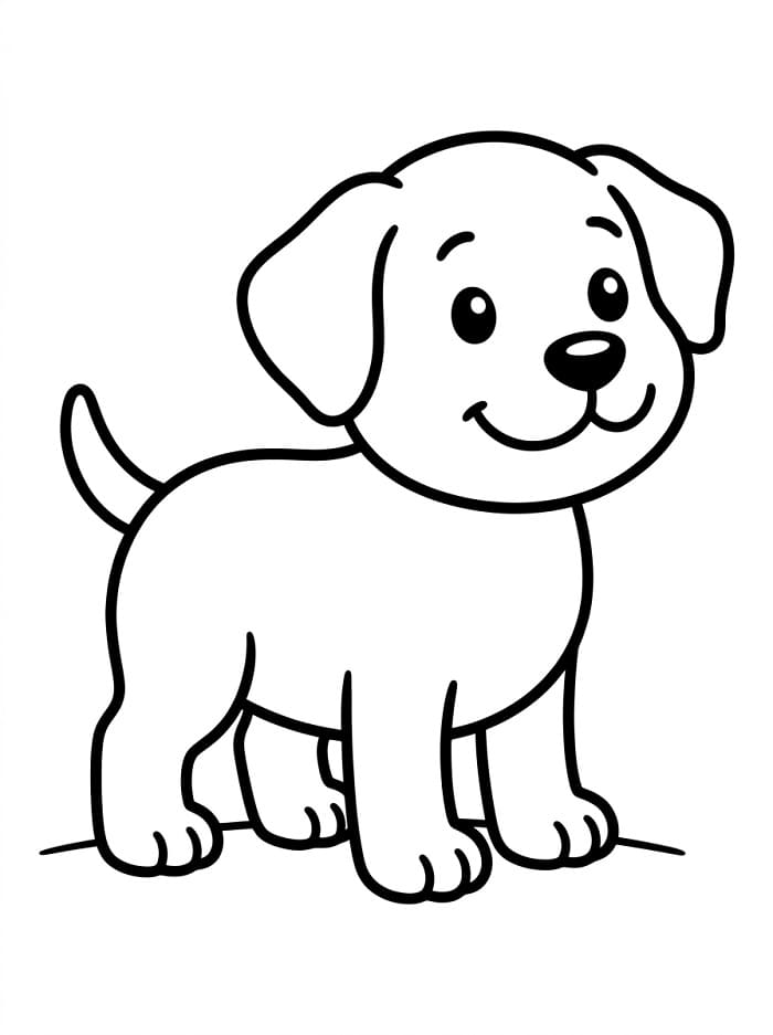 Eenvoudige Hond