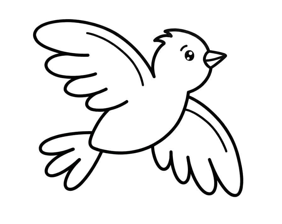 Eenvoudige Vogel