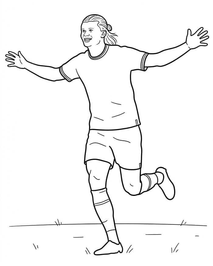 Erling Haaland printen
