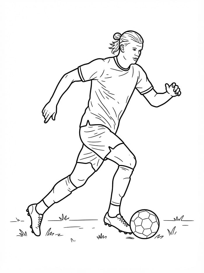 Erling Haaland voor kinderen