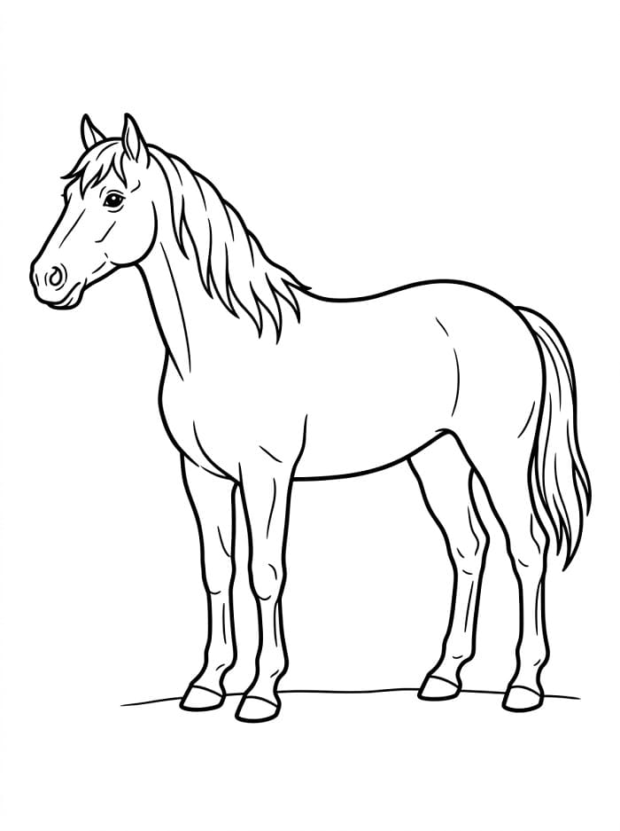 Extra Schattig Paard