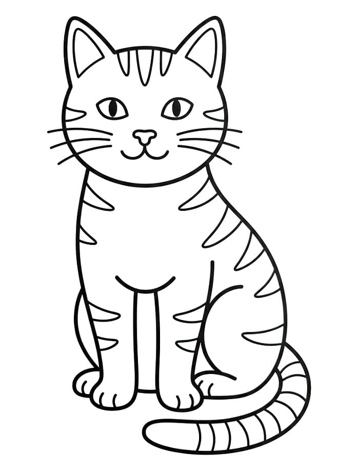 Extra Schattige Kat