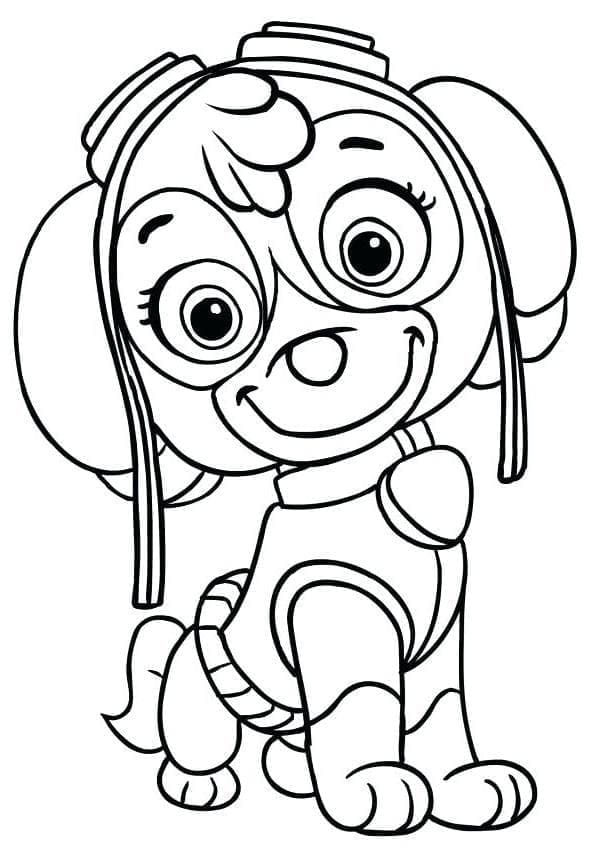 Extra Schattige Paw Patrol