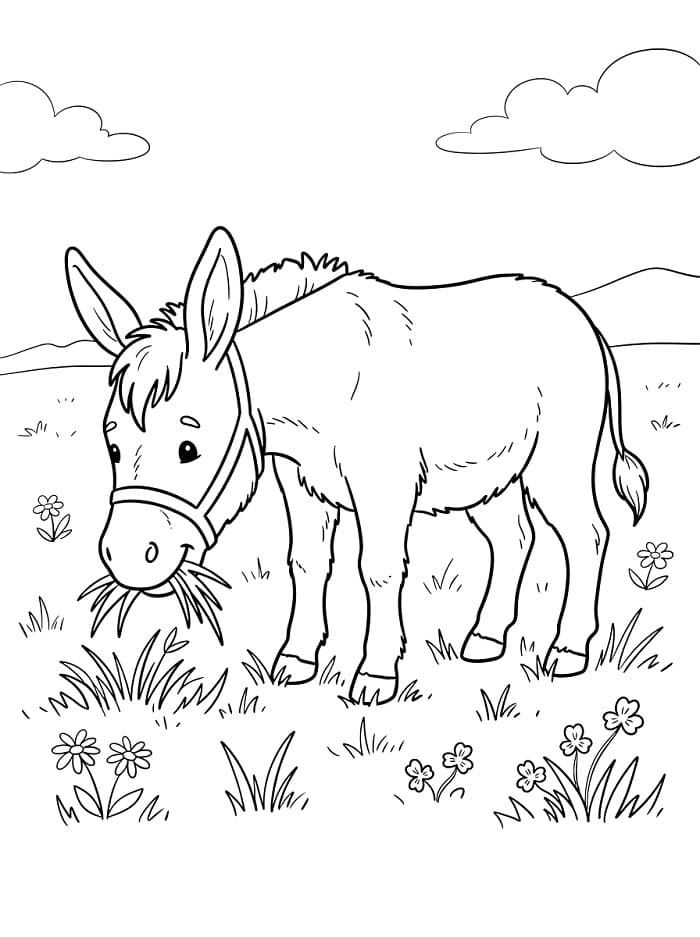 Ezel eet gras