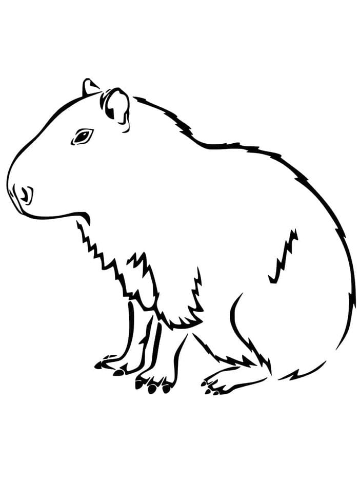 Fantastische Capibara