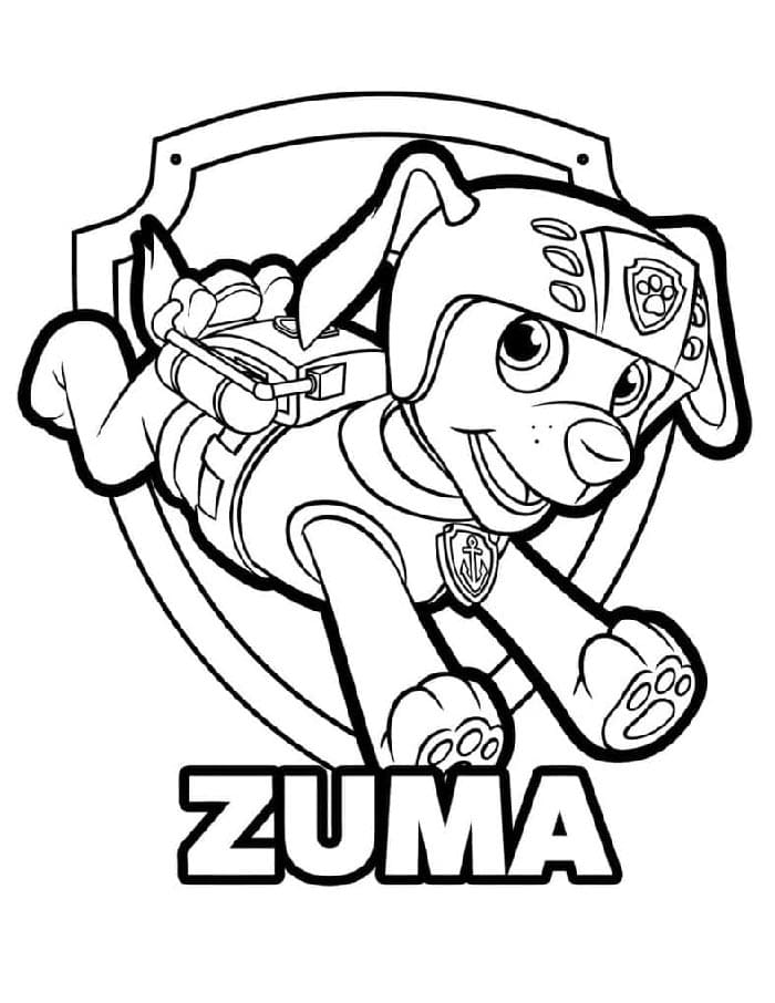 Figuren in Paw Patrol