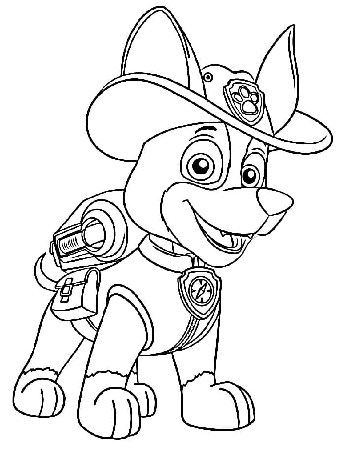 Geanimeerde Paw Patrol